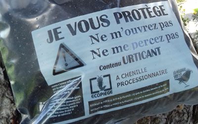 chenilles processionnaires marseille affiche